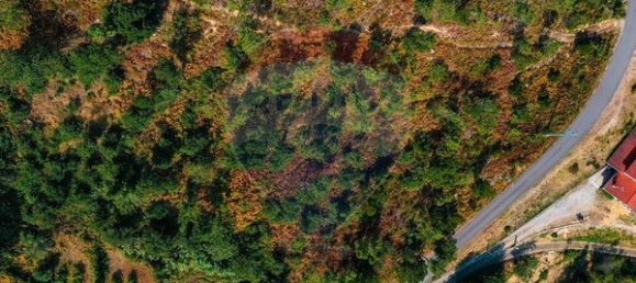 10500m² Land in Espadanedo, Portugal No. 88074 8