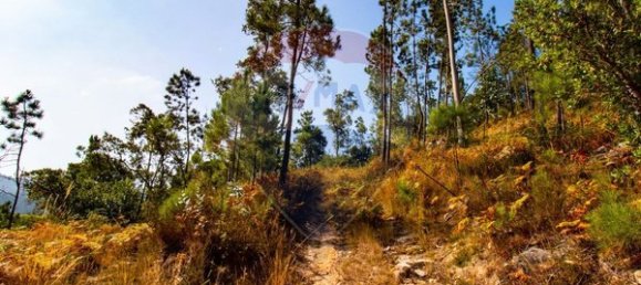 10500m² Land in Espadanedo, Portugal No. 88074 5