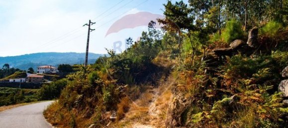 10500m² Land in Espadanedo, Portugal No. 88074 6