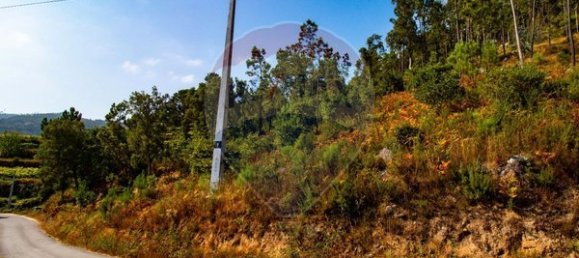 10500m² Land in Espadanedo, Portugal No. 88074 9