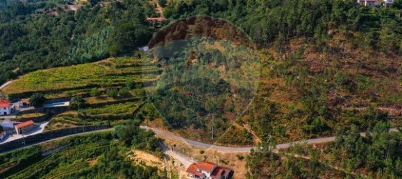 10500m² Land in Espadanedo, Portugal No. 88074 7