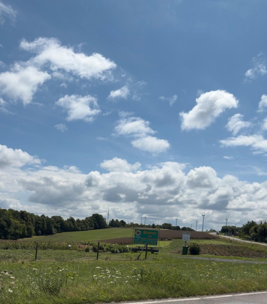 Земельный участок в Рейн-Хунсрюк, Германия № 242016