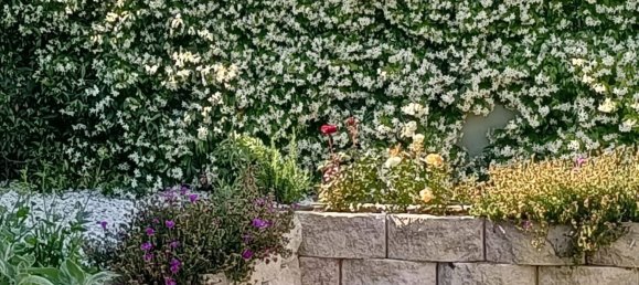 6-Zimmer Villa in Porto Recanati, Italy, Nr. 12480 6