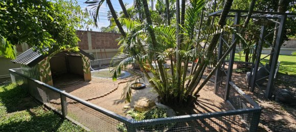 8 غرف نوم منزل في Pattaya, Thailand رقم 67195 20