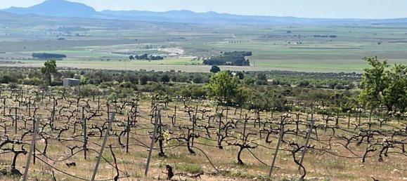 6 غرف نوم فيلا في Yecla, Spain رقم 9624 3