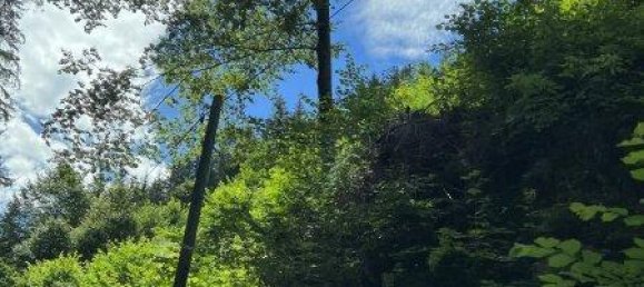 Земельный участок 60309м² в Нойберг ан дер Мюрц, Австрия № 64767 4