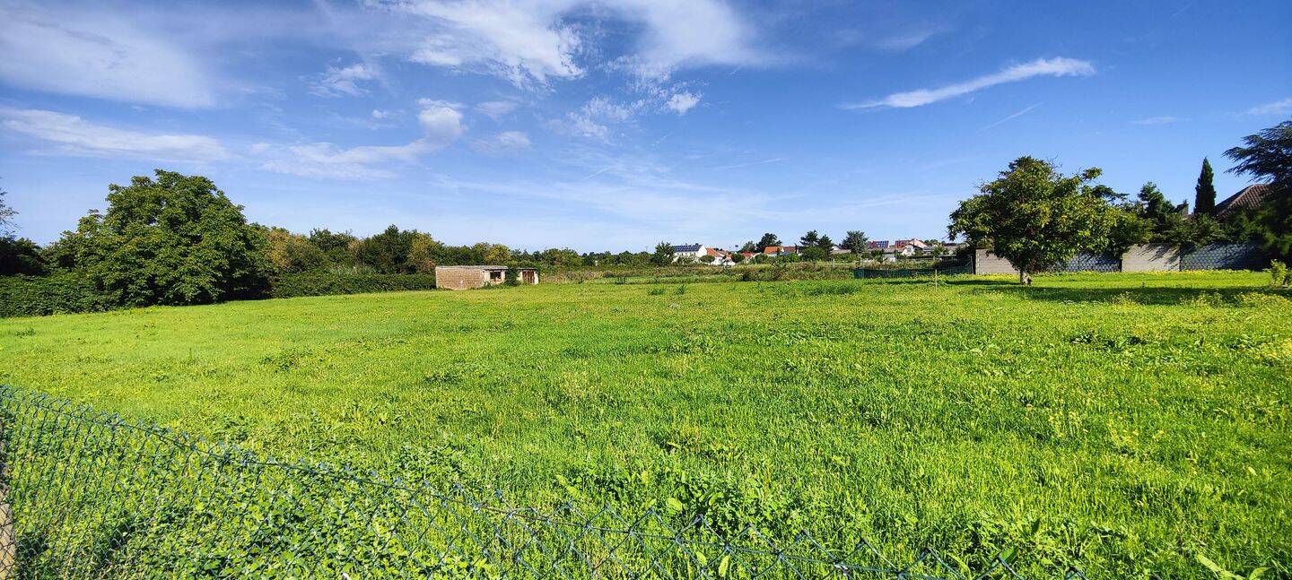 Grundstück in Bad Dürkheim, Germany, Nr. 360435