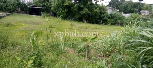 Terrain à Jimbaran, Indonesia 1730m² No. 3789 3