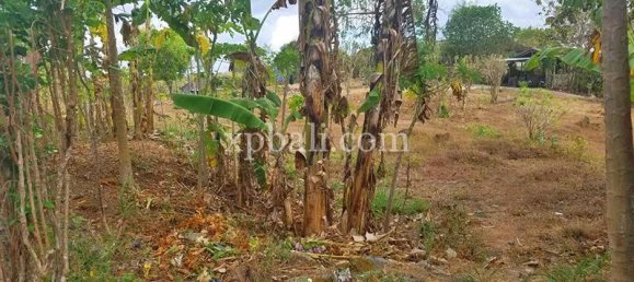 Terrain à Jimbaran, Indonesia 1730m² No. 3789 4