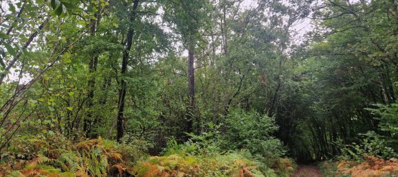 Grundstück in Dordogne, France, Nr. 338074 3