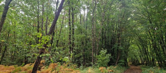 Grundstück in Dordogne, France, Nr. 338074 2