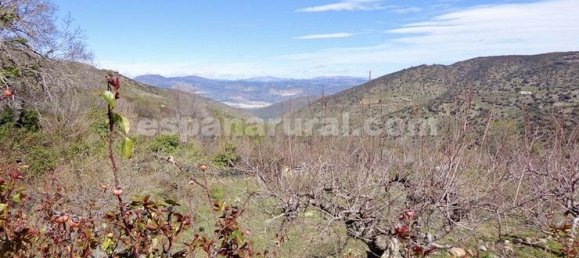 9 غرف نوم منزل في Sierro, Spain رقم 287915 25