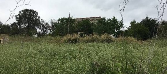 10غرفة منزل في Santa Caterina Villarmosa, Italy رقم 169992 2