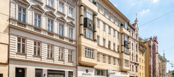 Studio in Josefstadt, Austria, Nr. 143312 16