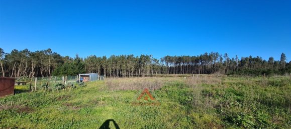 Casa de 7 dormitorios en Leiria, Portugal No. 156495 9