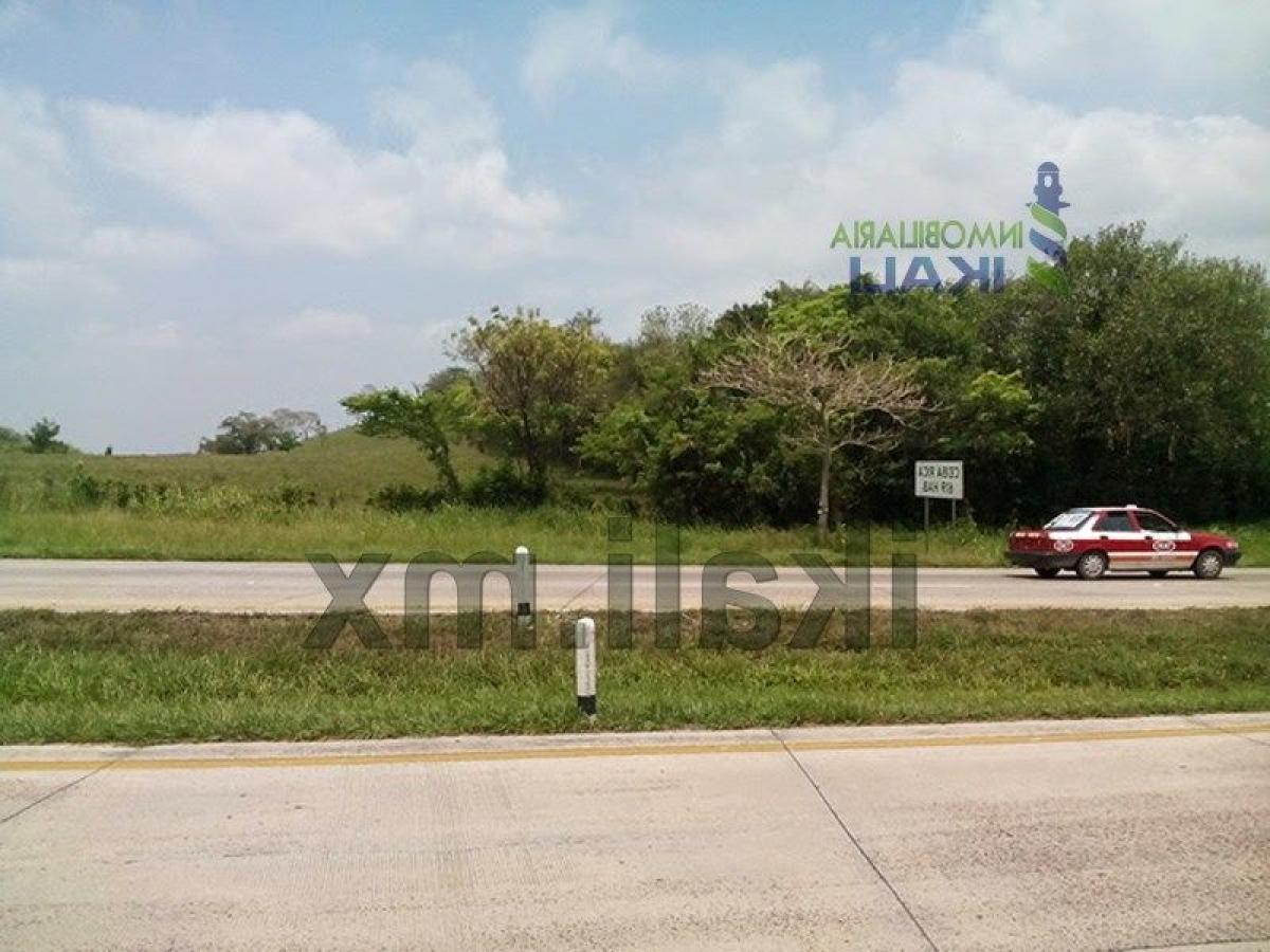  Land in Veracruz, Mexico No. 206188