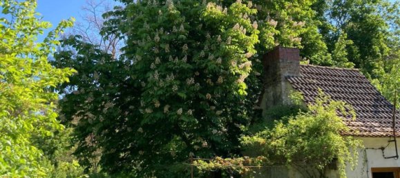 3 rooms Townhouse in Oder-Spree, Germany No. 261836 14