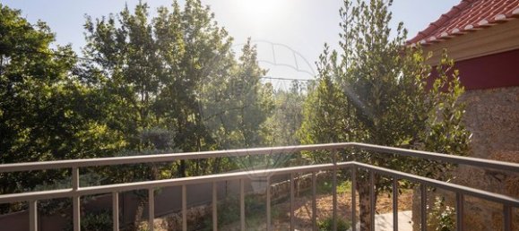 6 bedrooms House in Santa Comba Dao, Portugal No. 176744 24