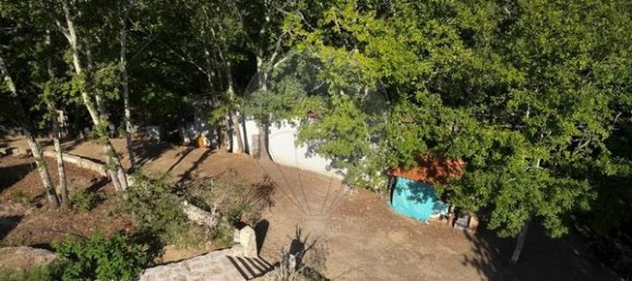 6 bedrooms House in Santa Comba Dao, Portugal No. 176744 23