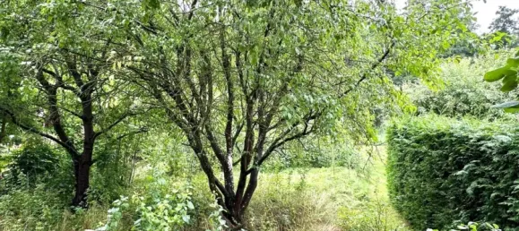 3-salle Maison de ville à Uckermark, Germany No. 253048 4