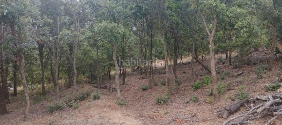 Terreno en Arenys de Munt, Spain 9560 m² No. 190033 7