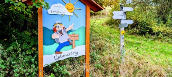  Land in Waldeck-Frankenberg, Germany No. 172085 8