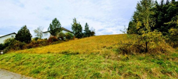  Land in Waldeck-Frankenberg, Germany No. 172085 5