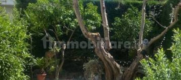 3 غرف نوم منزل ذو طابقين في Pescara, Italy رقم 342140 27