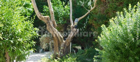 Дуплекс с 3 спальнями в Пескара, Италия № 342140 30