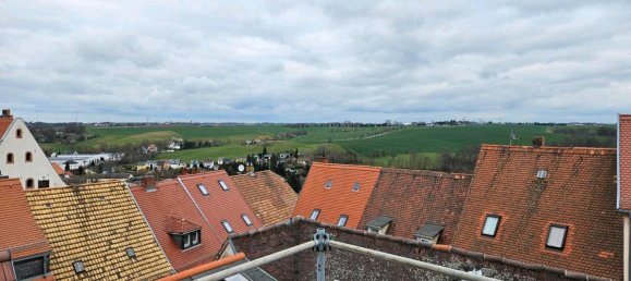 Gebäude in Mittelsachsen, Germany 329m², Nr. 274520 6