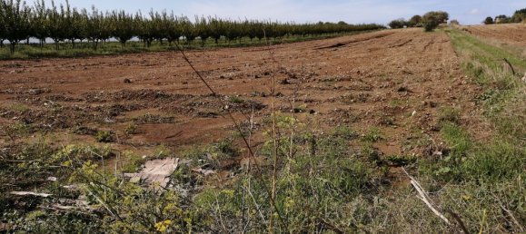 2غرفة منزل في Pachino, Italy رقم 68423 3