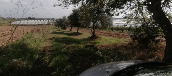 2غرفة منزل في Pachino, Italy رقم 68423 16