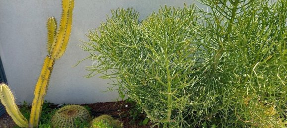 Apartamento de 1+1 en Bodrum, Turkey No. 28660 4