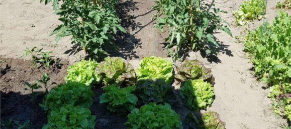 5 rooms Villa in Mortara, Italy No. 156247 11