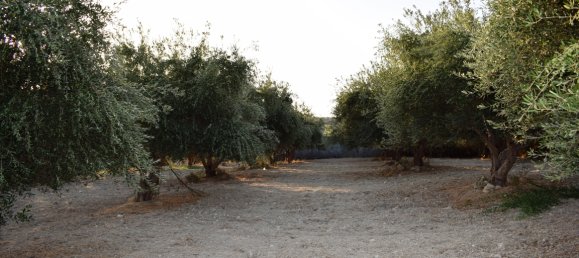 4800 m² terreno en venta en Rethymno, Crete, Greece № 95218 3