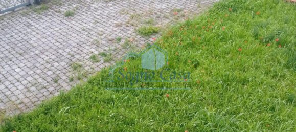 2 bedrooms House in Carrara, Italy No. 48087 9