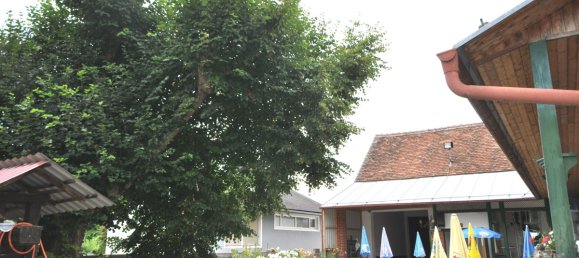 7 rooms House in Hannersdorf, Austria No. 169475 4