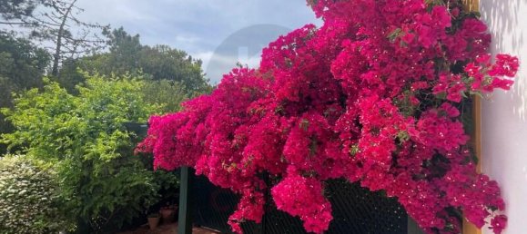 8 Schlafzimmer Villa in Foz do Arelho, Portugal, Nr. 136821 6