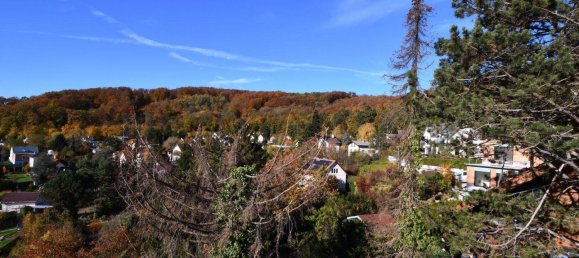 6غرفة فيلا في Dobling, Austria رقم 49991 20