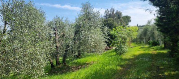 Terreno en Castelfiorentino, Italy 8270 m² No. 254585 7