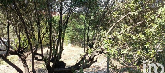 Terreno em Montpellier, France 420 m² N.º 338764 5