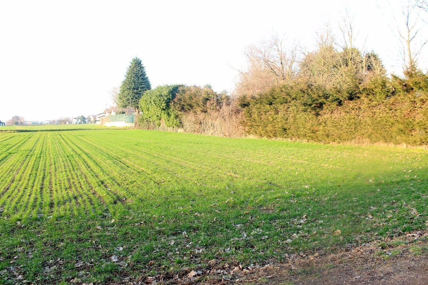 Земельный участок 2200м² в Куджоно, Италия № 142744