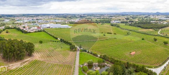 5 bedrooms House in Aveiras de Cima, Portugal No. 21464 44