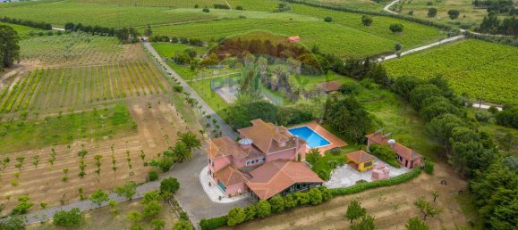 5 bedrooms House in Aveiras de Cima, Portugal No. 21464 50