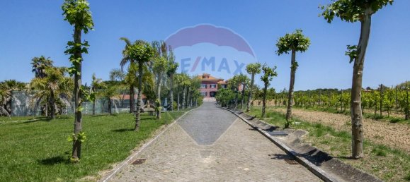 5 bedrooms House in Aveiras de Cima, Portugal No. 21464 36