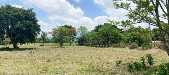 terrain à vendre à Alajuela, Costa Rica № 1895 3