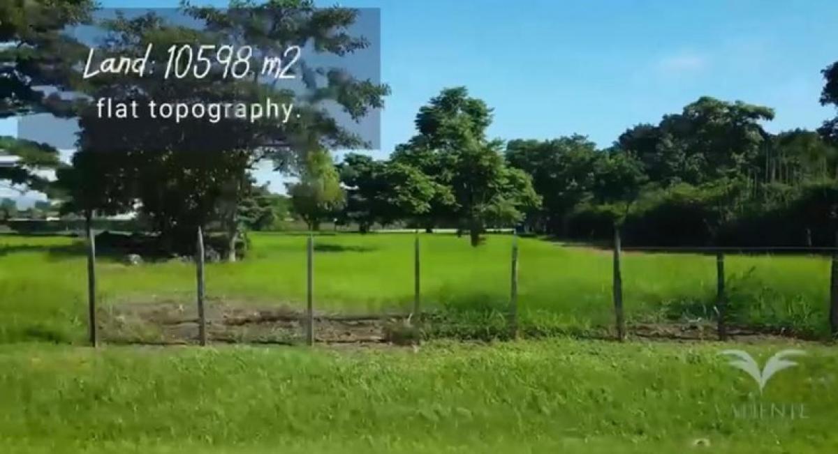 terrain à vendre à Alajuela, Costa Rica № 1895