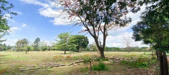 terrain à vendre à Alajuela, Costa Rica № 1895 4