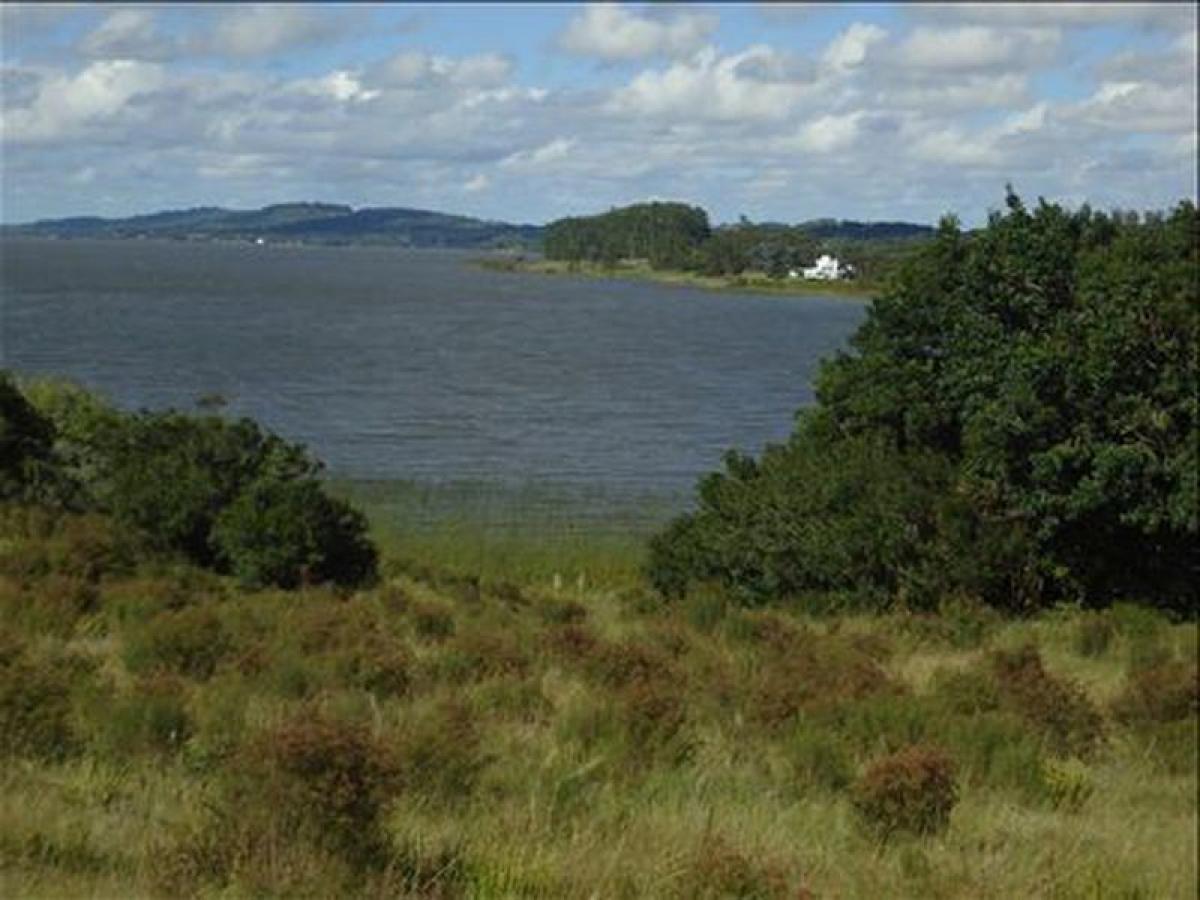  Farm in Maldonado, Uruguay No. 15899
