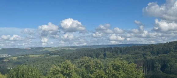 5 Schlafzimmer Stadthaus in Trier-Saarburg, Germany, Nr. 276364 26